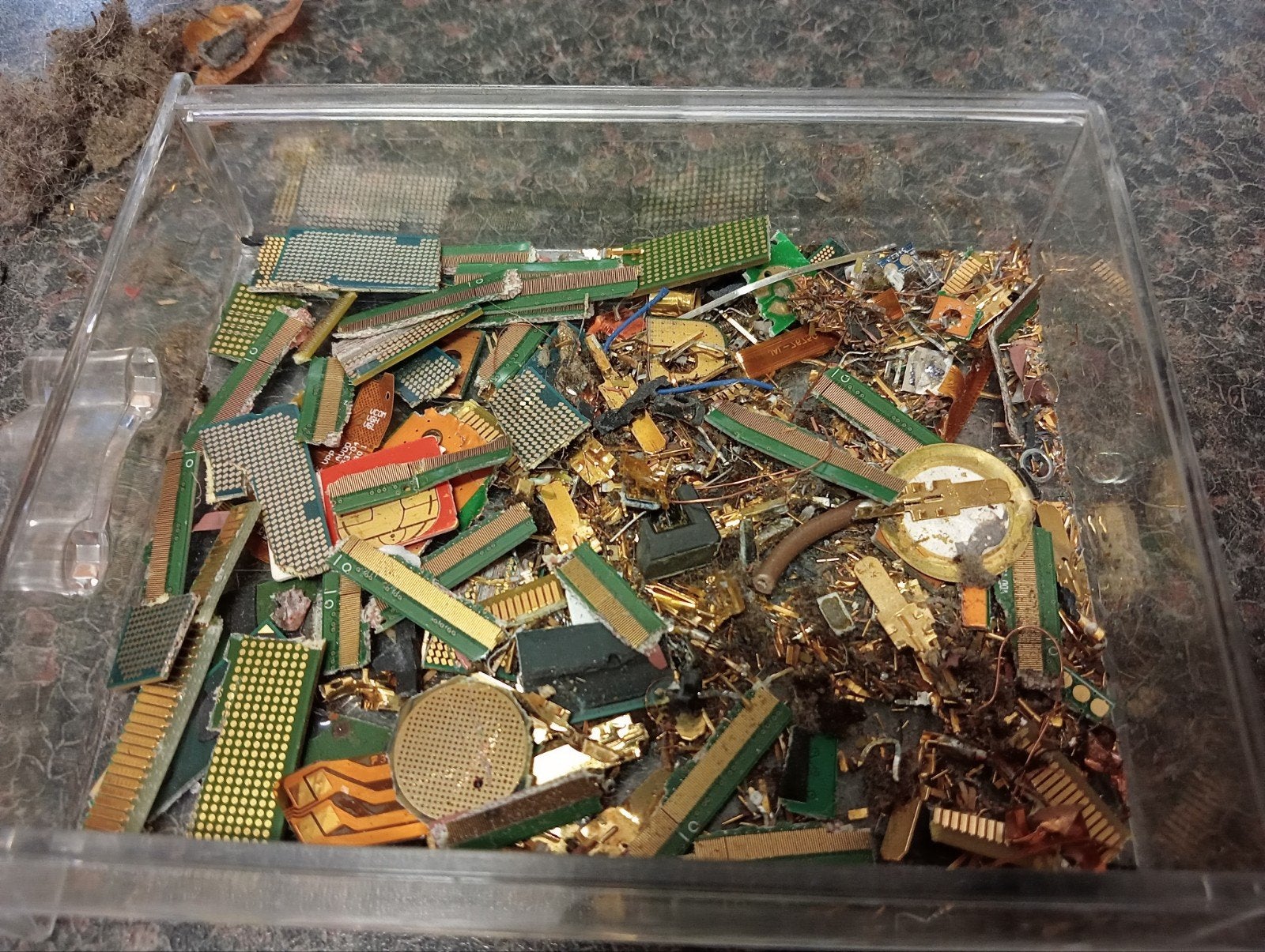 Computer goud, Dieren en Toebehoren, Ophalen of Verzenden, Nieuw