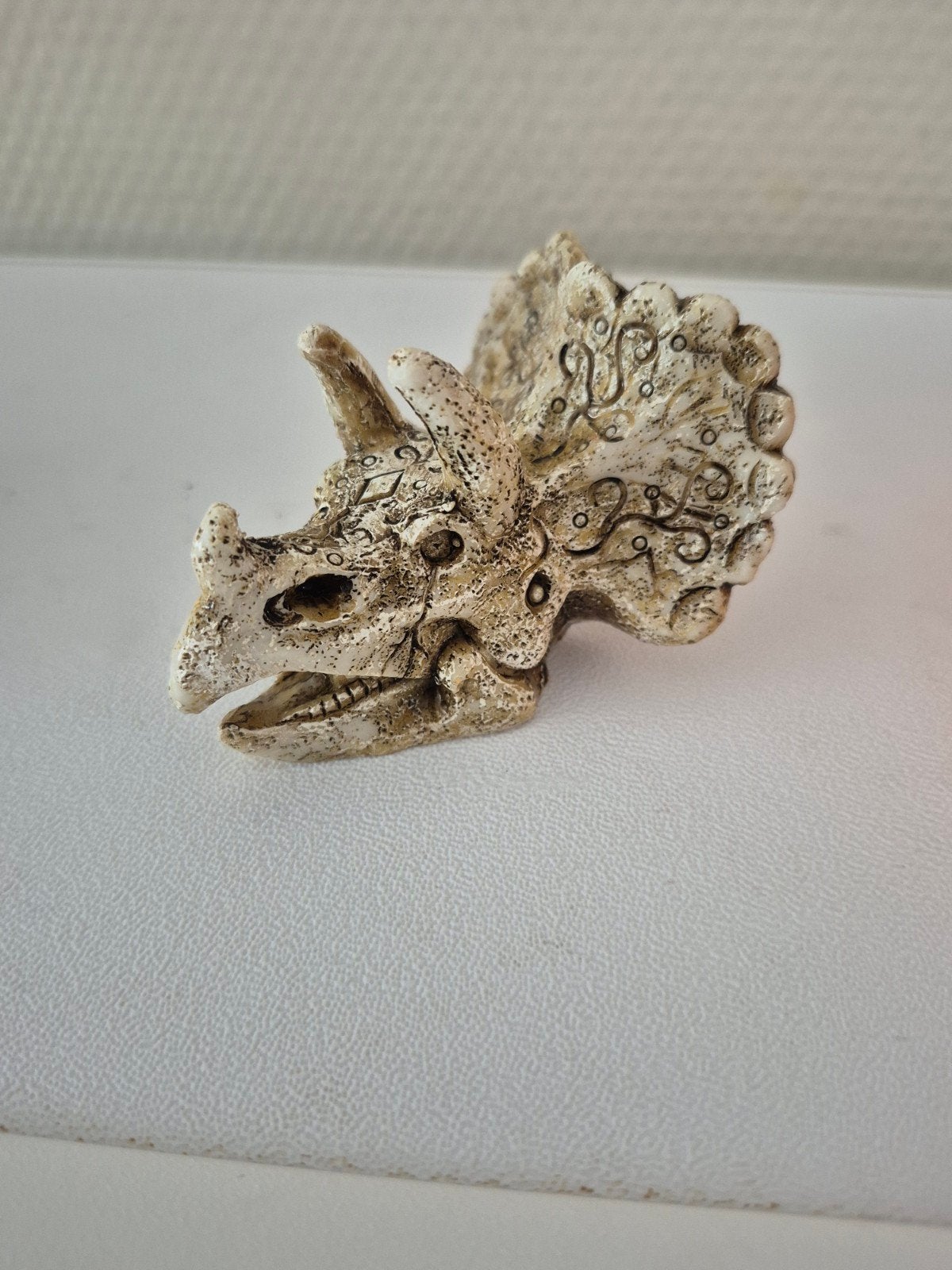 Triceratops schedel decoratie, Ophalen, Zo goed als nieuw
