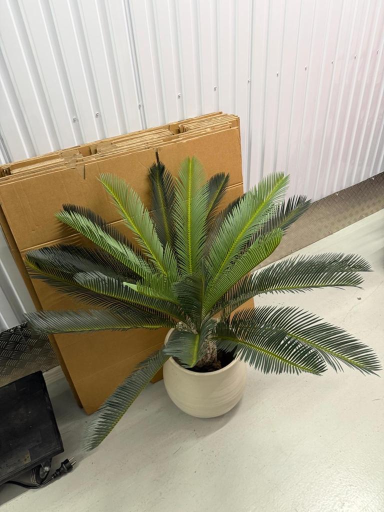 Prachtige Kunst Palmplant in Pot, 100 tot 150 cm, Palm, In pot, Groene kamerplant