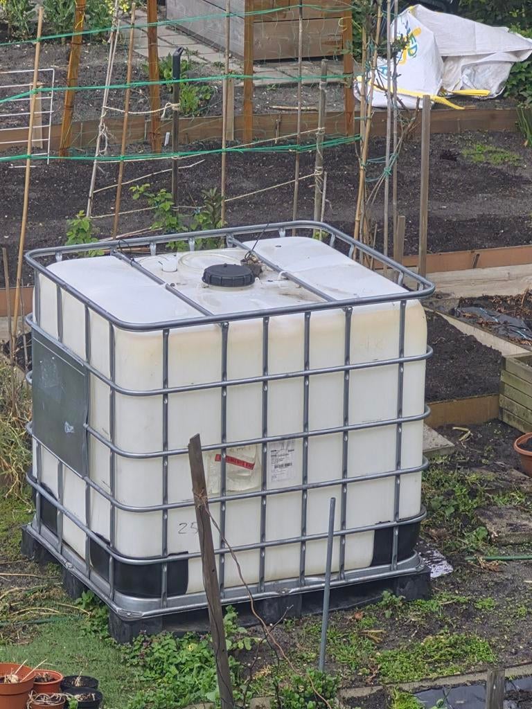 Regenton IBC container, Tuin en Terras, Regentonnen, Ophalen of Verzenden