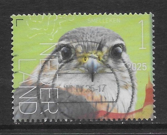 2025, Vogels St-Eustatius, Smelleken [4257] (K2607), Ophalen of Verzenden