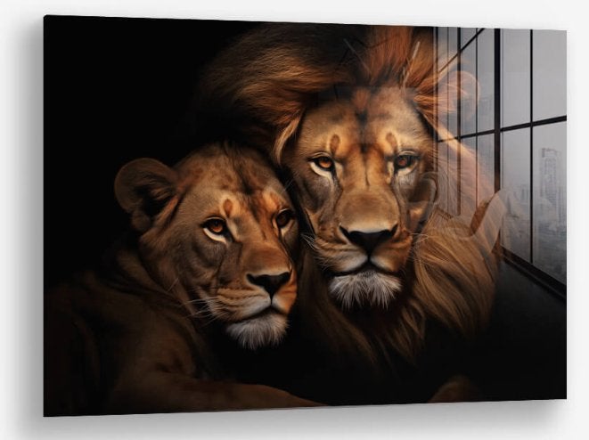 Glasschilderij Lion Couple 80x120 - Gehard glas, Ophangklaar, Glas, Ophalen of Verzenden, Dieren