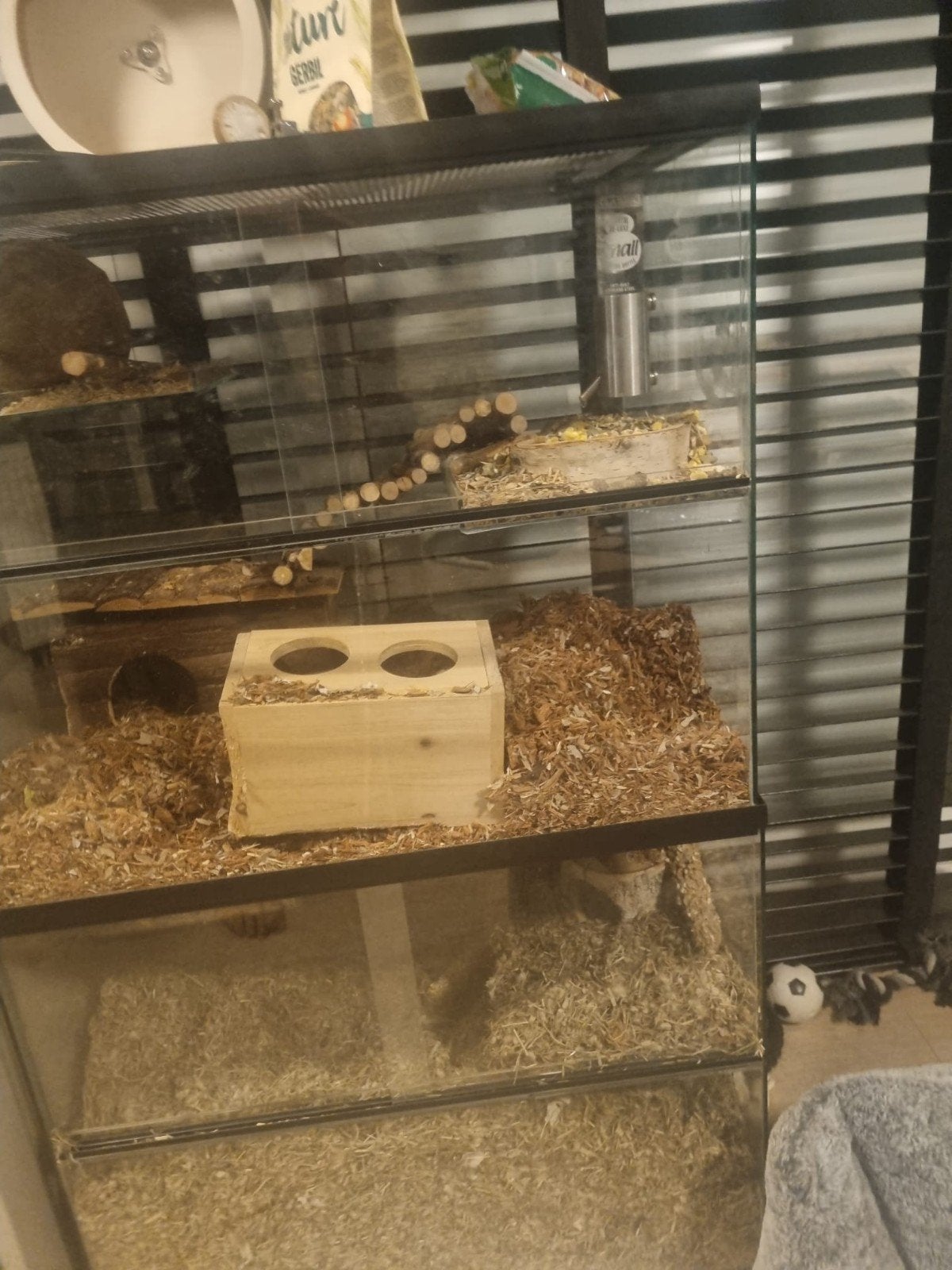 Gerbilarium Hamsterkooi, Dieren en Toebehoren, Knaagdieren en Konijnen | Hokken en Kooien, Minder dan 75 cm, Zo goed als nieuw