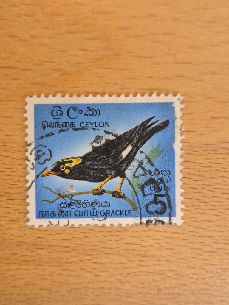 Ceylon 1966 vogel, Ophalen of Verzenden, Gestempeld, Zuid-Azië