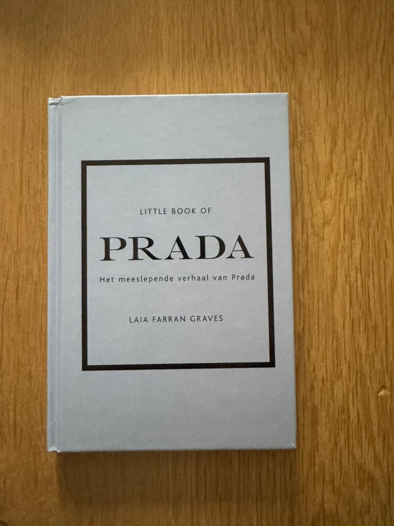 Prada boekje, Boeken, Ophalen of Verzenden, Zo goed als nieuw, Mode algemeen