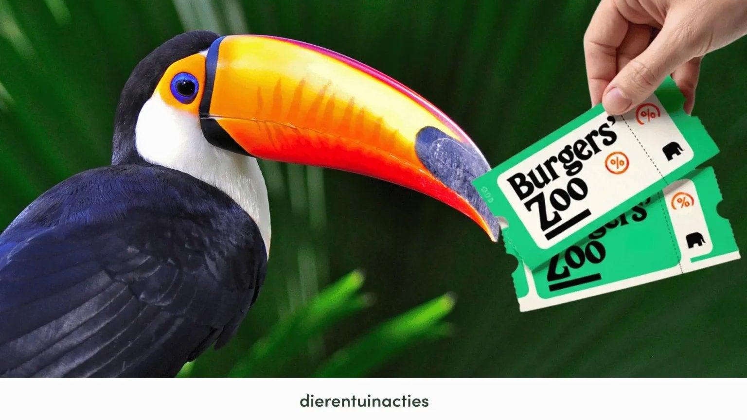 Kortingscode Burgers Zoo tot €11 korting, Eén persoon, Kortingskaart