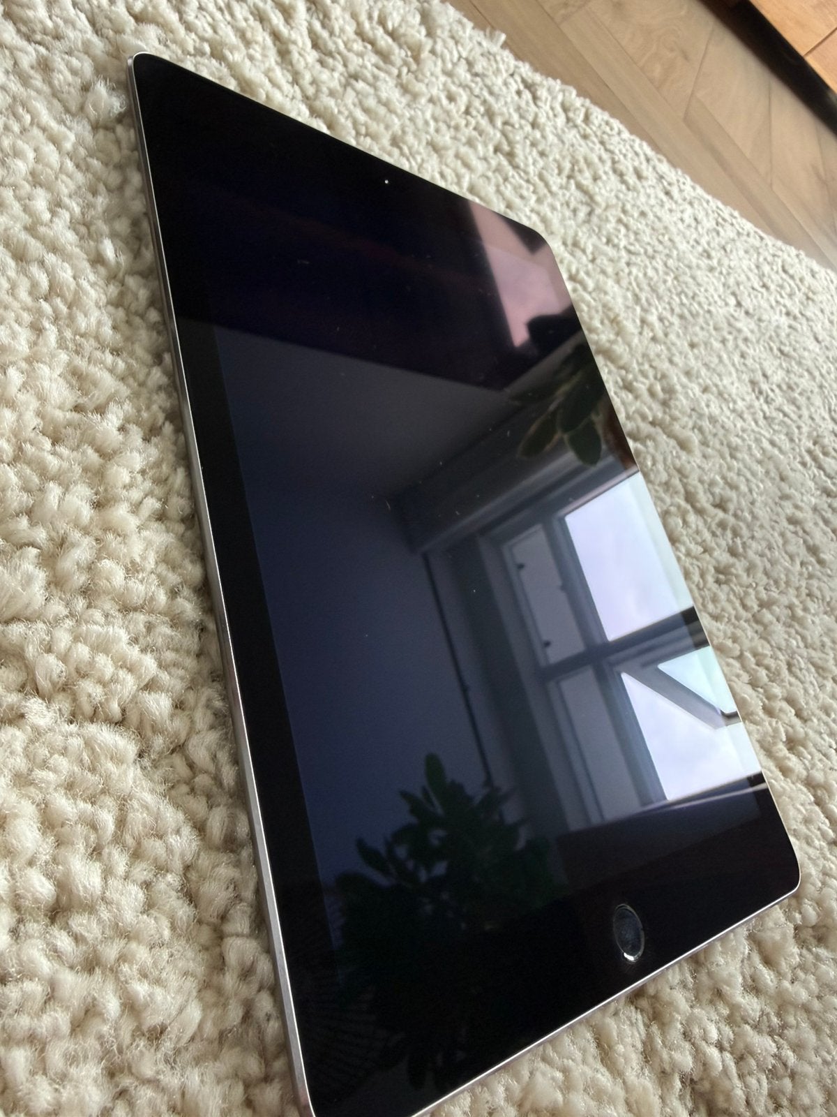 Foto 6 van Ipad air 2