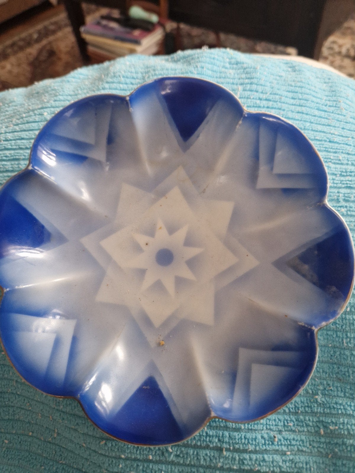 diep blauw schaaltje van Frans Zwarts Apeldoorn, Ophalen