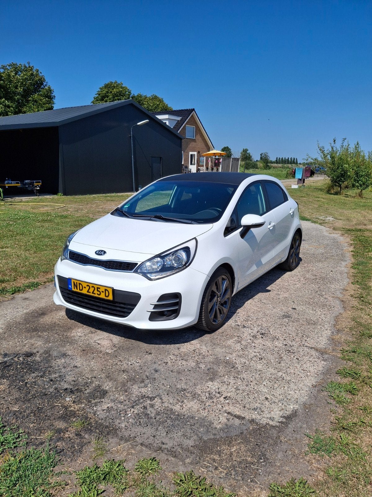 Kia Rio 1.2 CVVT ExecutiveLine I 5DRS 2017 Wit, Auto's, 40 €/maand, 4 cilinders, Wit, Origineel Nederlands