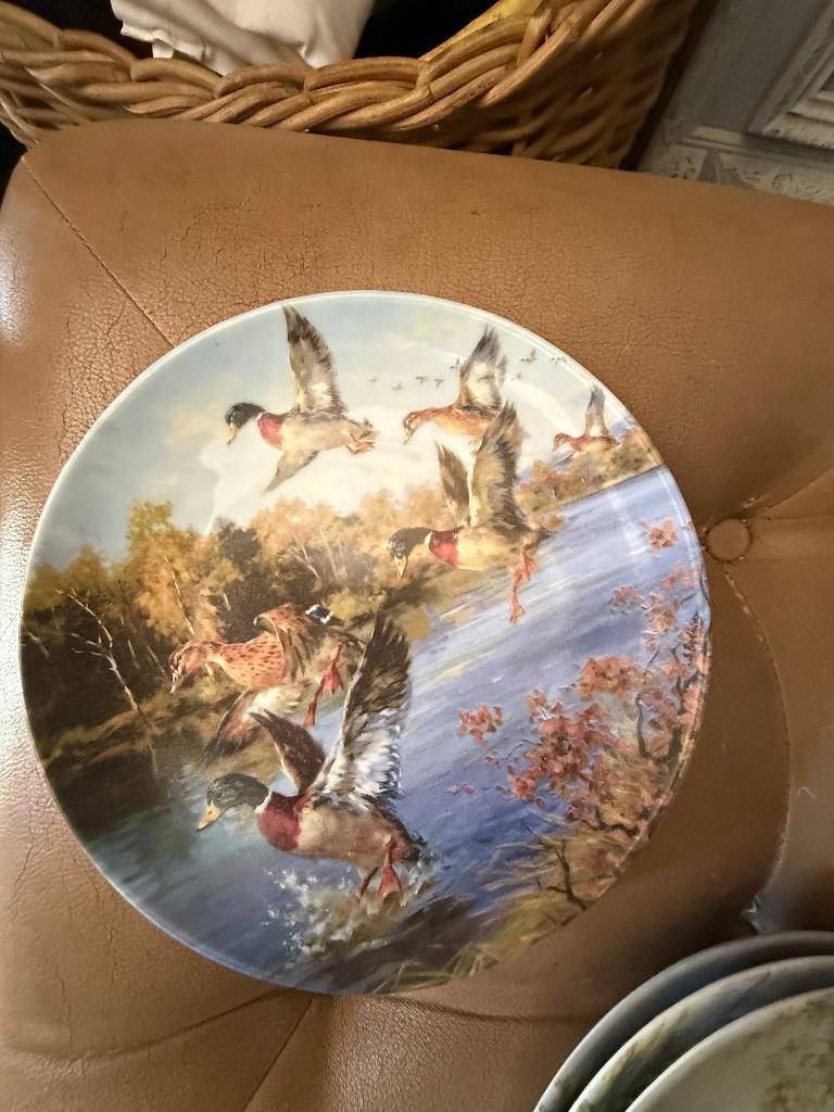 Jacht bordjes voor aan de muur., Ophalen of Verzenden