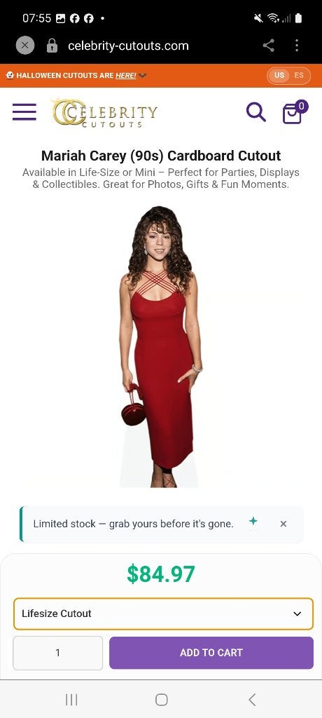 Set van 4 levensgrote Mariah Carey kartonnen poppen Lifesize, Ophalen of Verzenden, Zo goed als nieuw