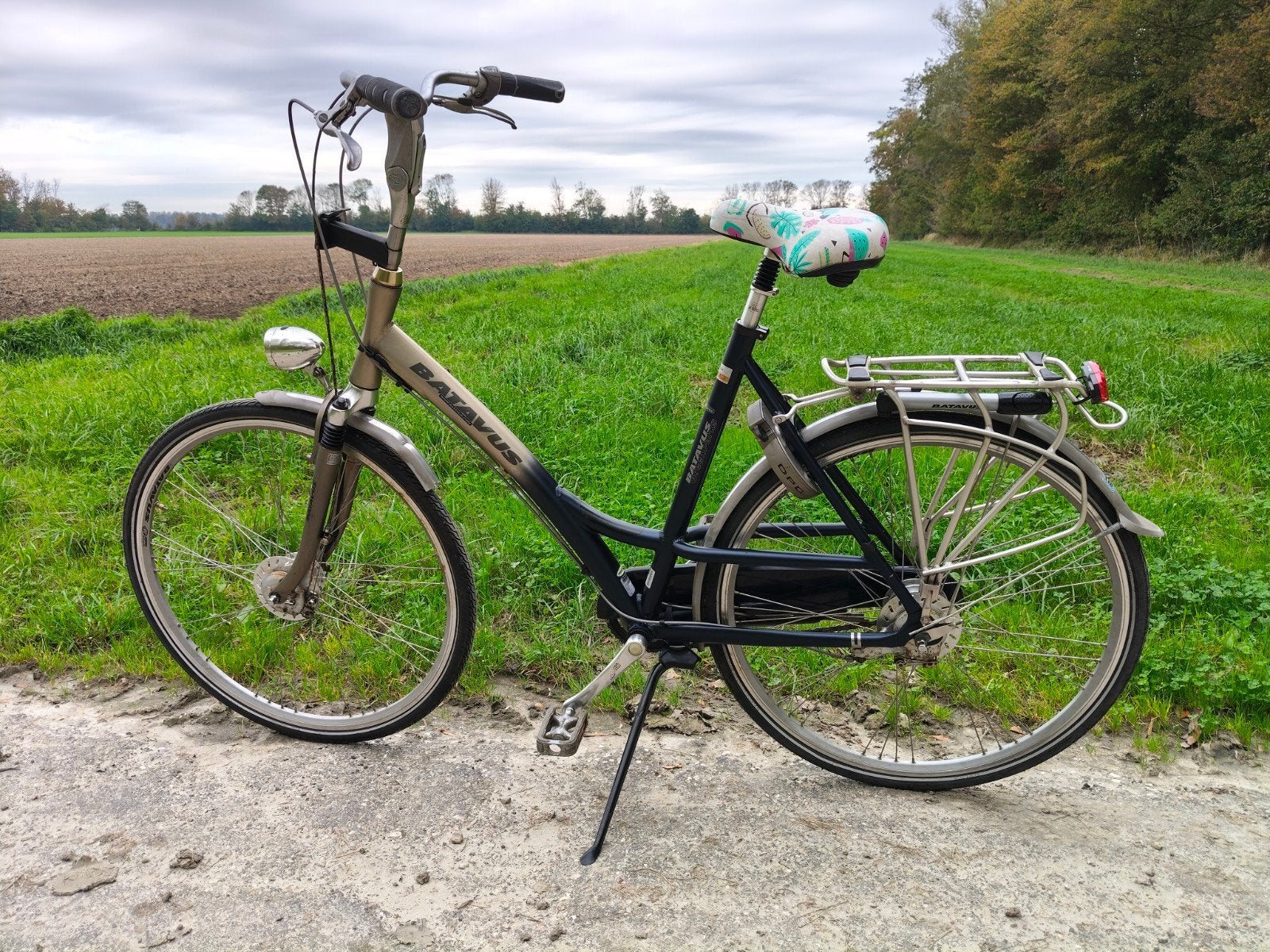 Batavus GreenParks dames fiets 8 speed 28 inch frame 57, Ophalen, Gebruikt, Versnellingen, Batavus