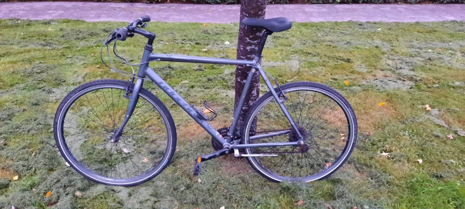 Ridgeback fiets, Overige merken, Gebruikt, Velgrem, Versnellingen