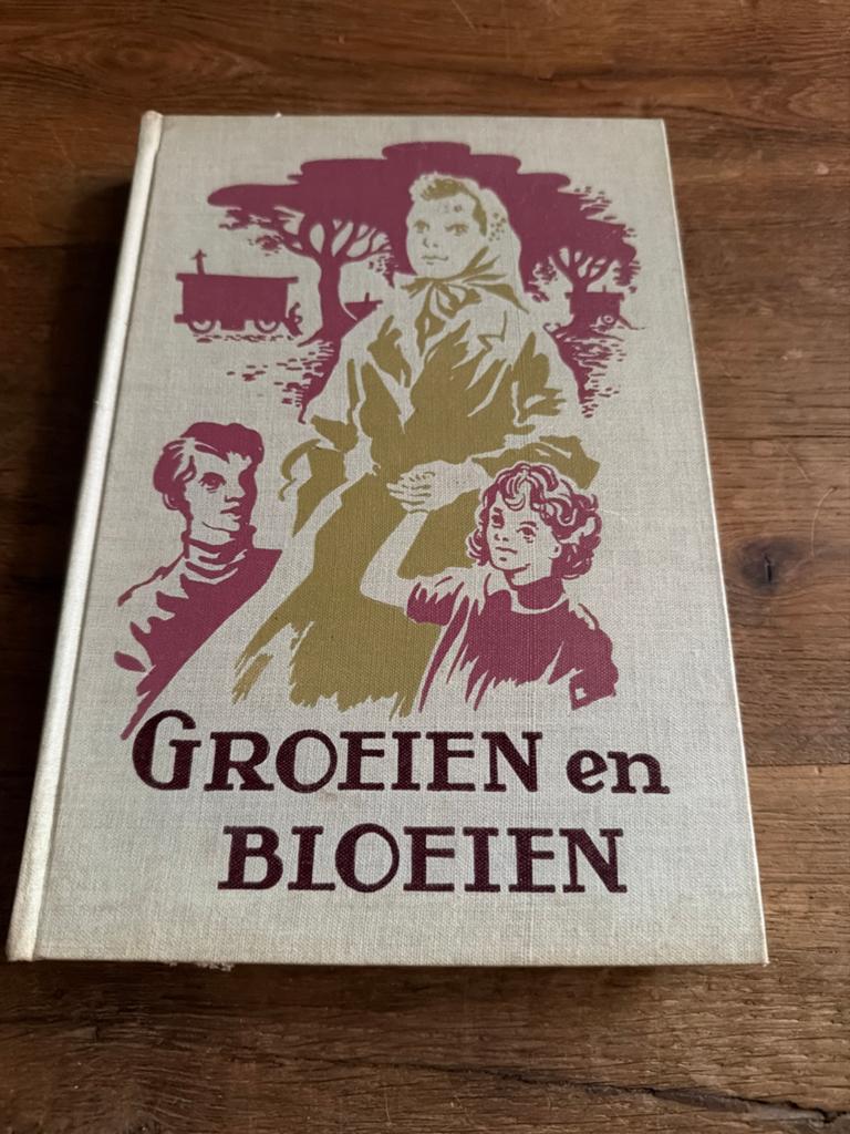 Groei en Bloei - Willemien van Welgelegen (Vintage Boek), Ophalen of Verzenden, Gelezen, Fictie algemeen