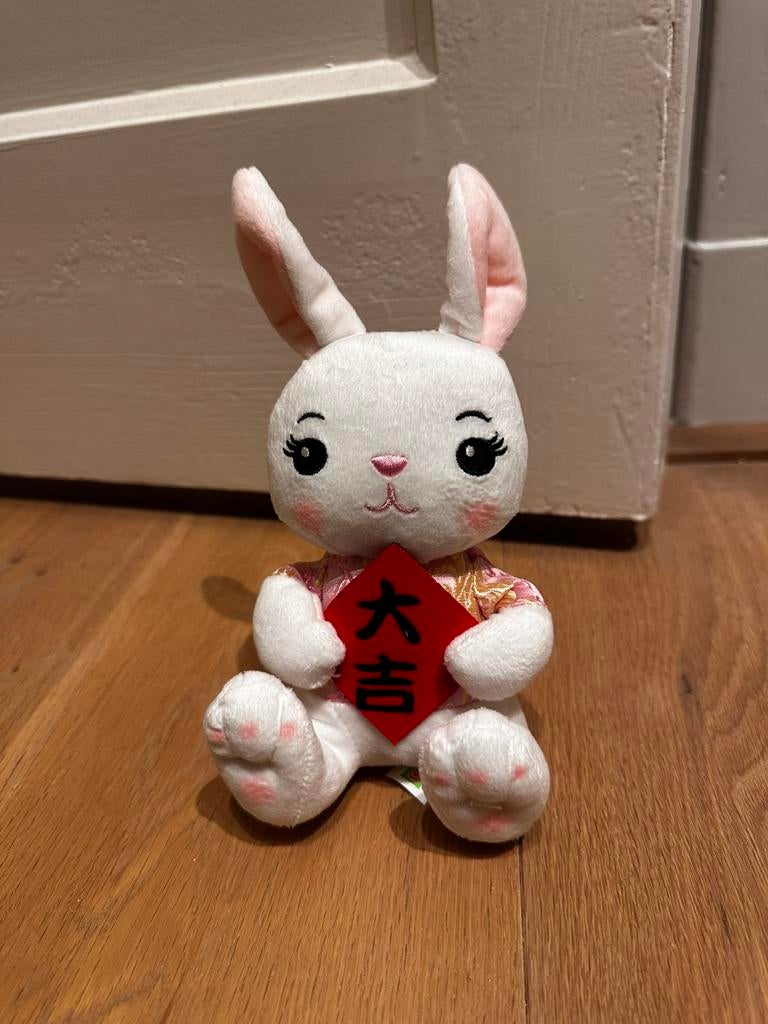 Knuffel amazing oriental konijn 2023, Ophalen of Verzenden, Konijn