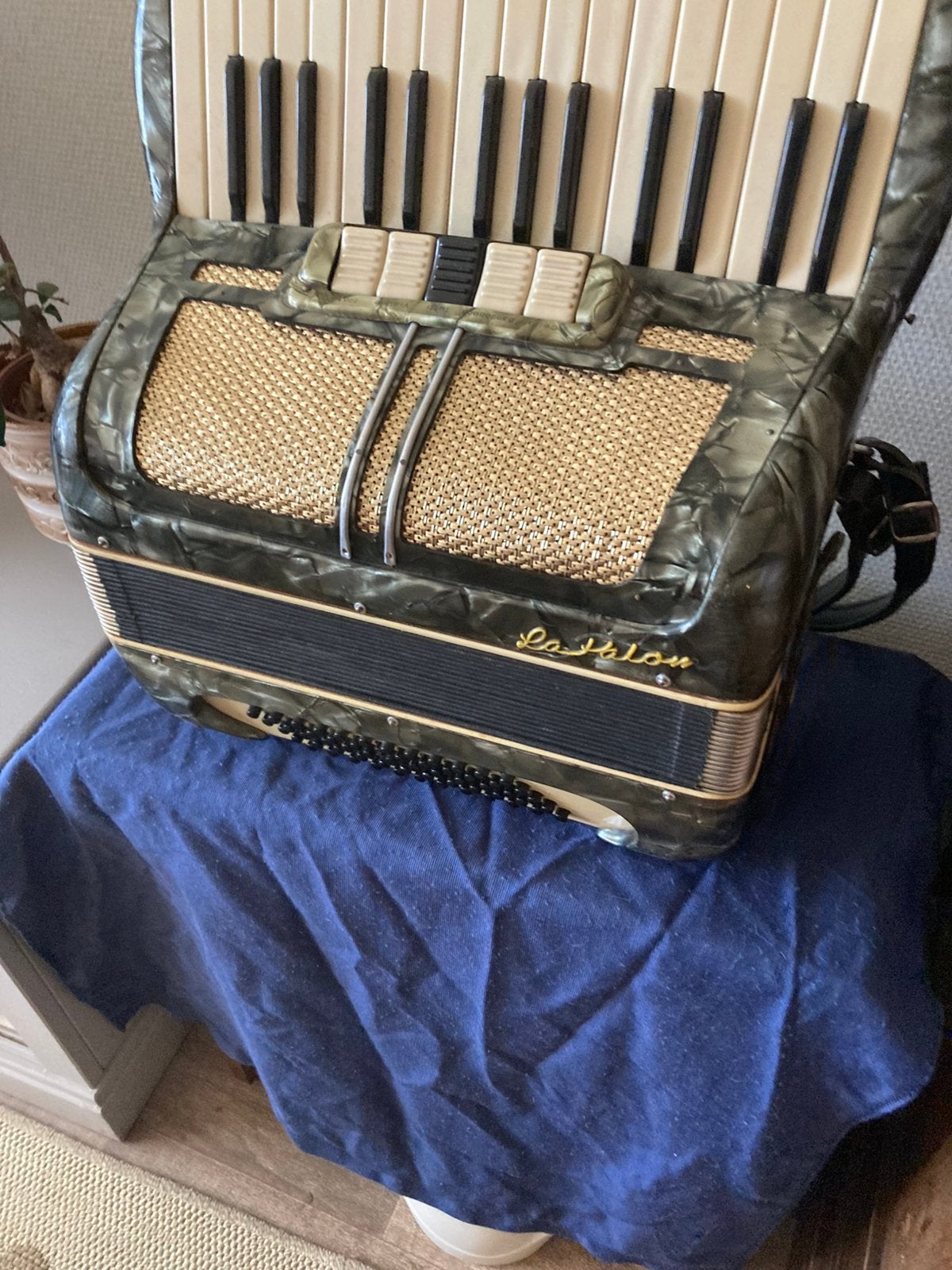 Hohner, Gebruikt, Met koffer, 60-bas, Hohner