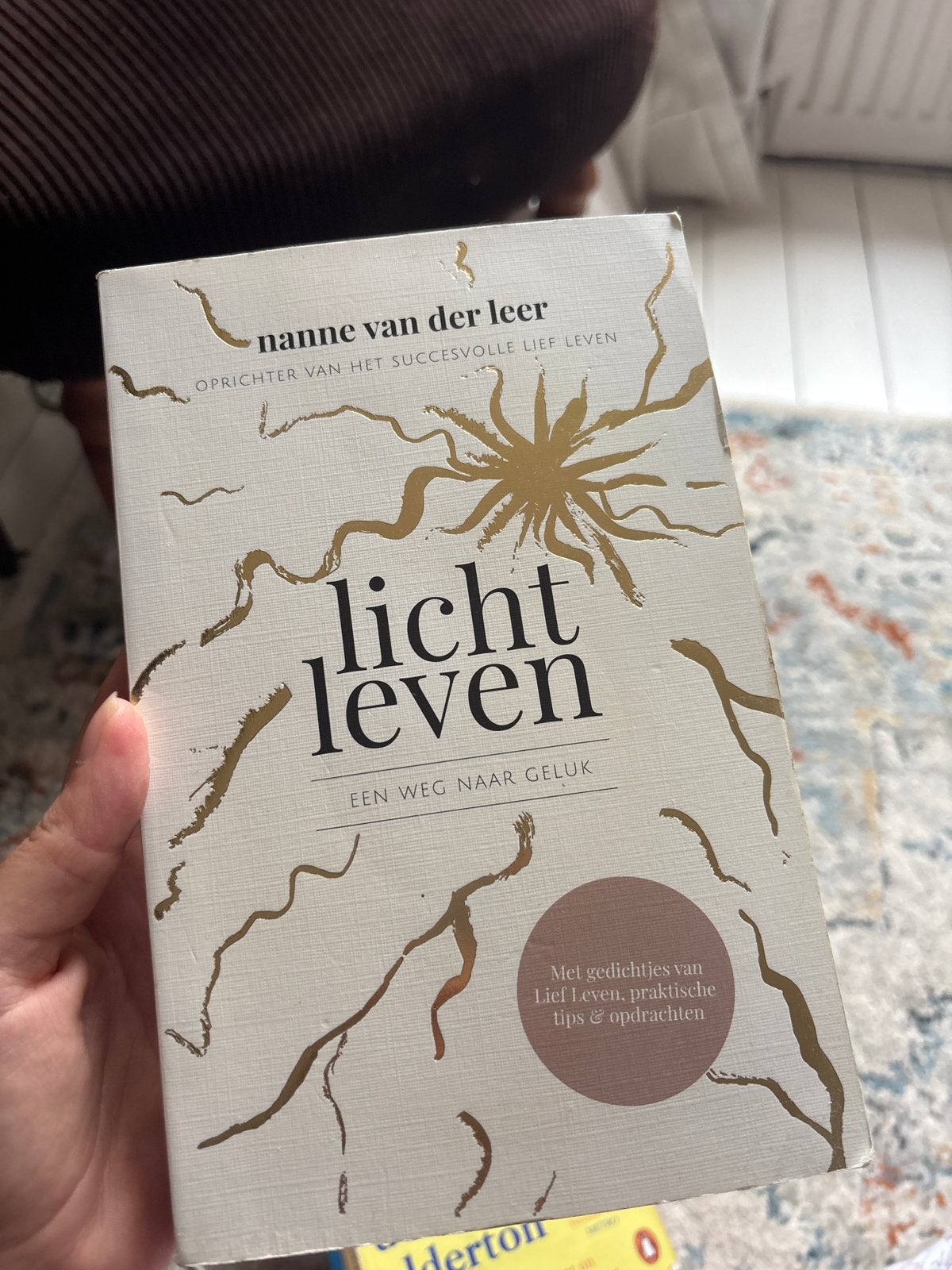 Licht Leven - Nanne van der Leer - Een weg naar geluk, Ophalen of Verzenden, Zo goed als nieuw, Nederland