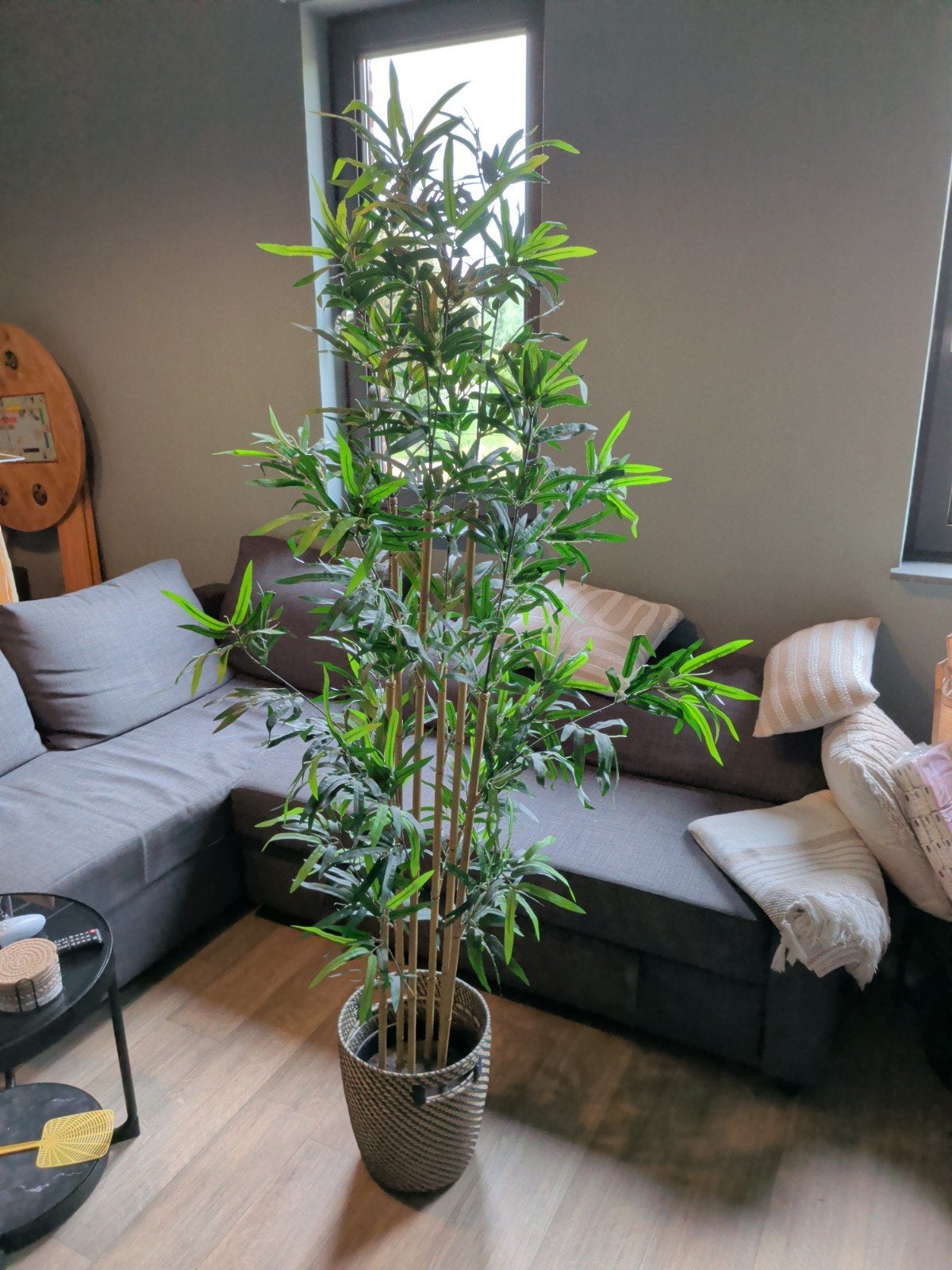 Plastic bamboo plant, Huis en Inrichting, Kamerplanten, Ophalen