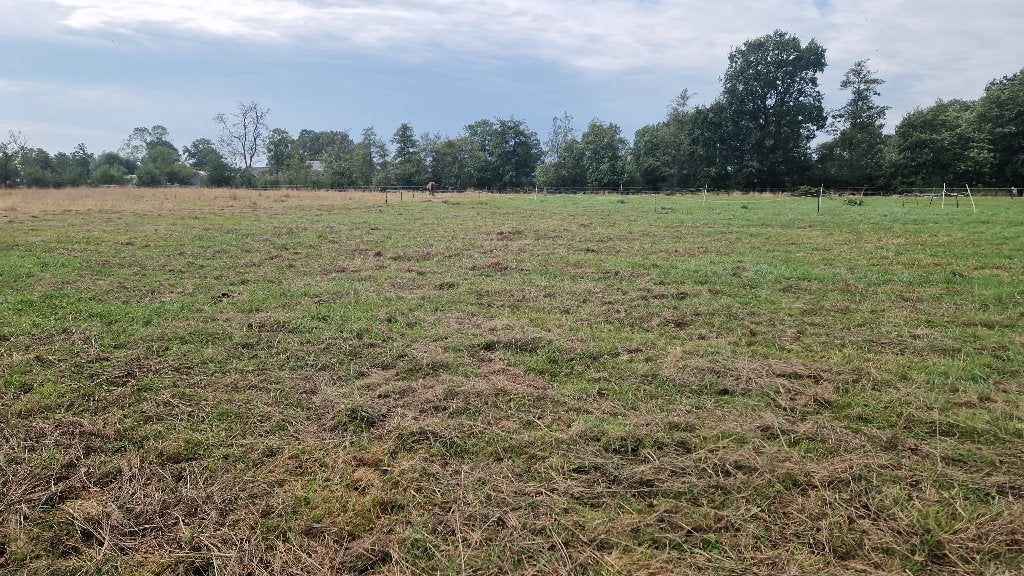 Gezocht: iemand die hooi van het land wil halen, Ophalen