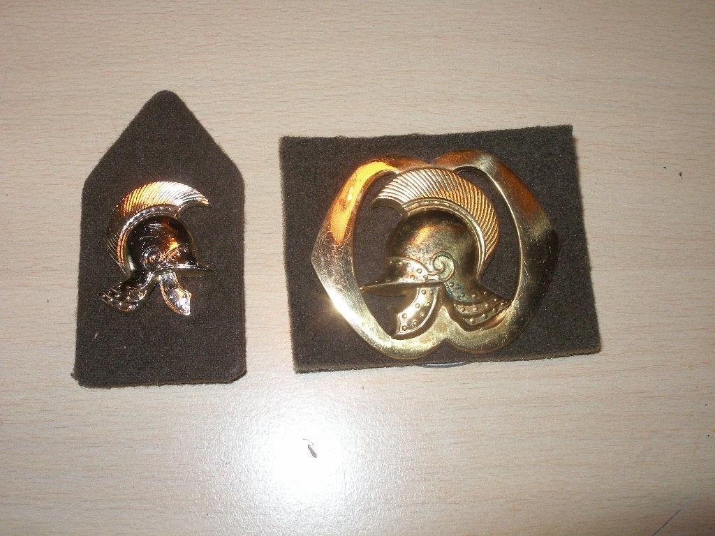 Emblemen Genie algemeen, Ophalen of Verzenden, Landmacht, Nederland, Embleem of Badge