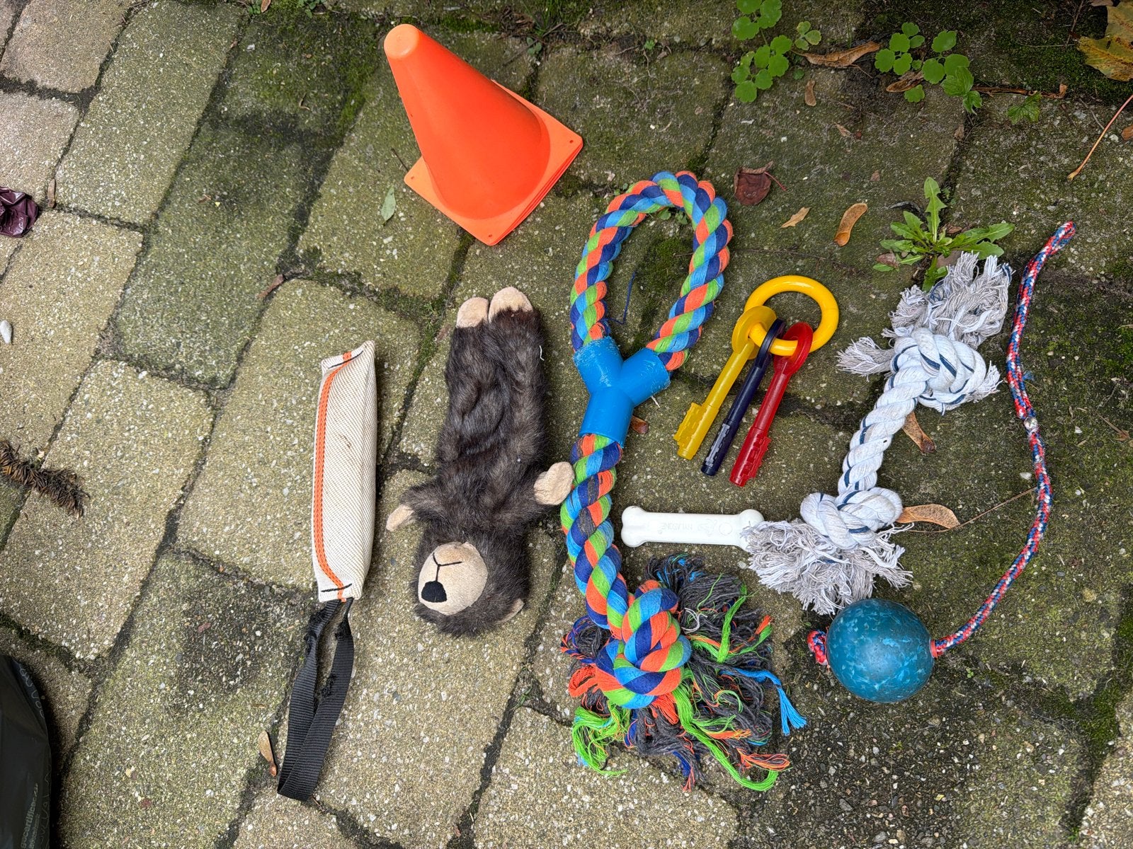Puppy speelgoed, Dieren en Toebehoren, Ophalen of Verzenden, Gebruikt