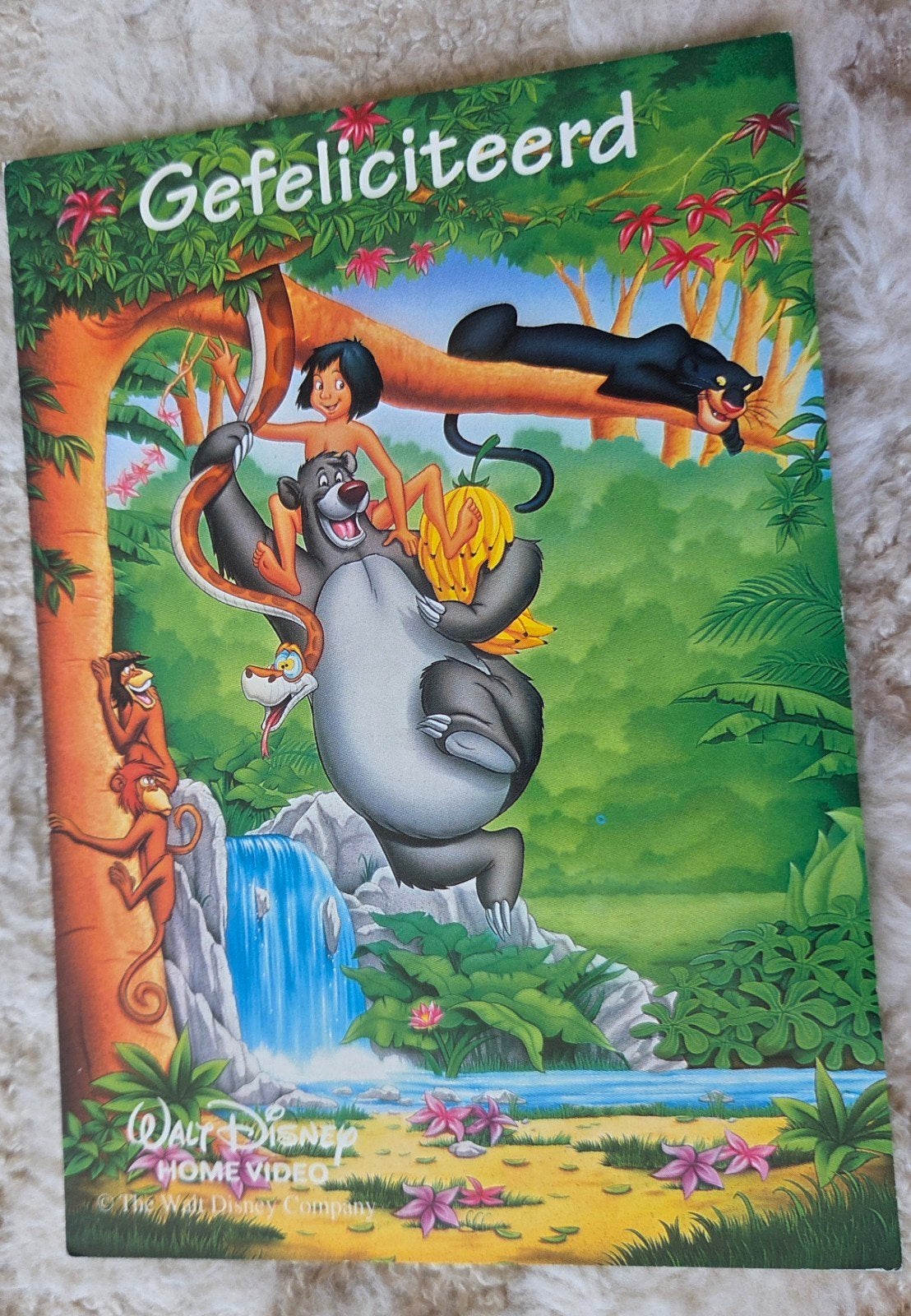 Disney Jungle Boek, Verzenden, 1980 tot heden, Gelopen, Kinderen
