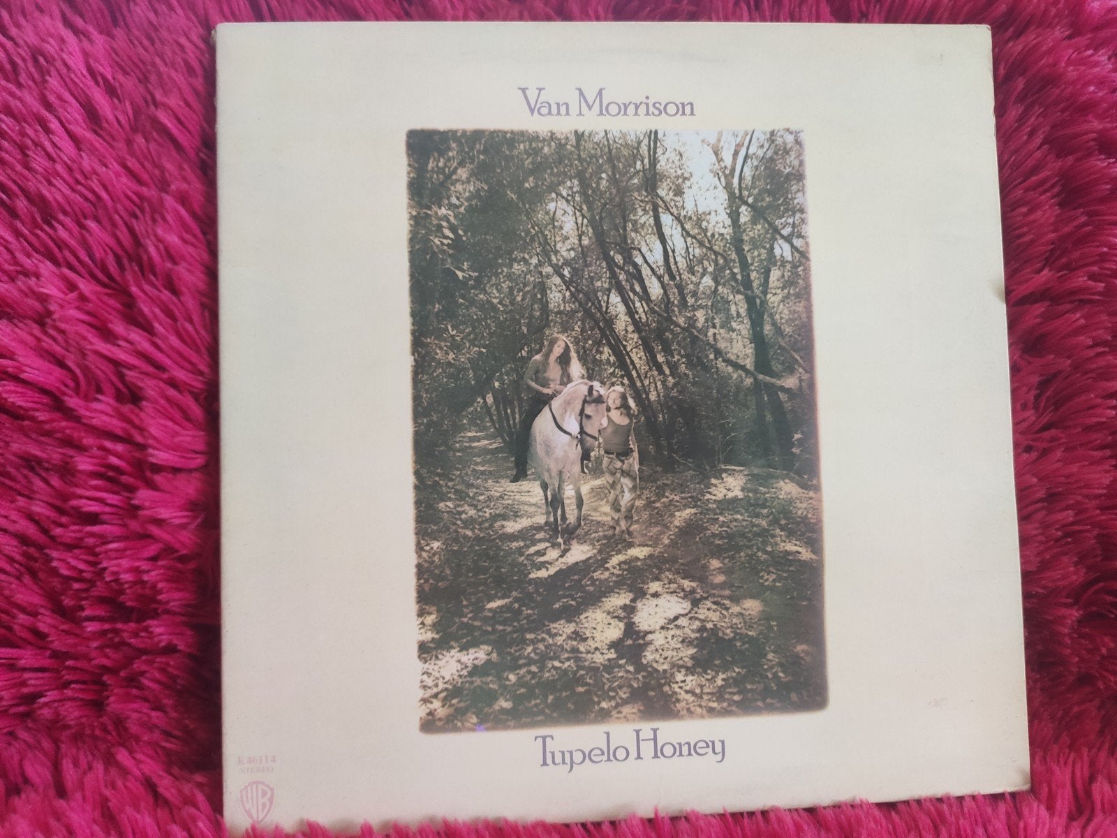 Van Morrison – Tupelo Honey LP NL WB 46114, LP, Gebruikt, Bluesrock, Ophalen of Verzenden