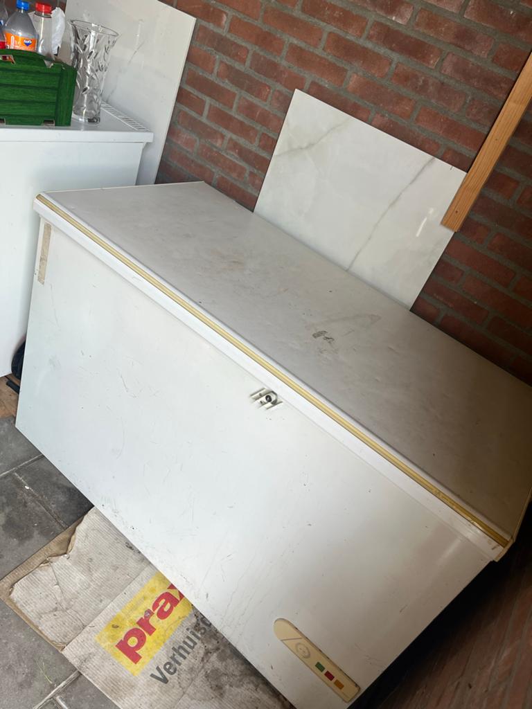 Ruime vrieskist - Ideaal voor extra opslag, Vrieskist, Gebruikt, Vrijstaand, 90 cm of meer