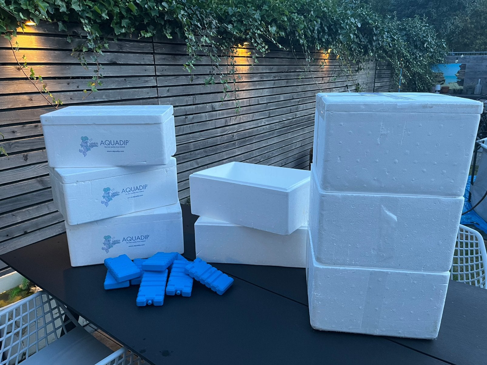 Tempex dozen en koelelementen, Doe-het-zelf en Verbouw, Ophalen, Doos, Minder dan 35 cm, Zo goed als nieuw