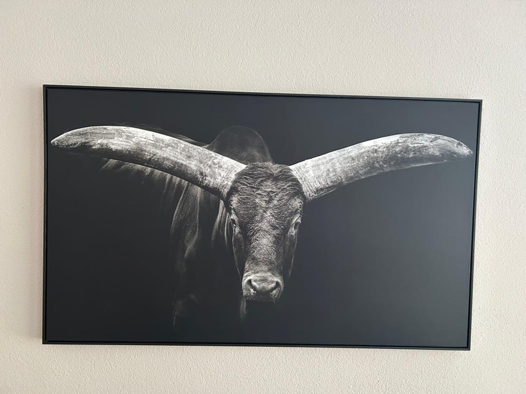 Te koop schilderij van buffel, Ophalen