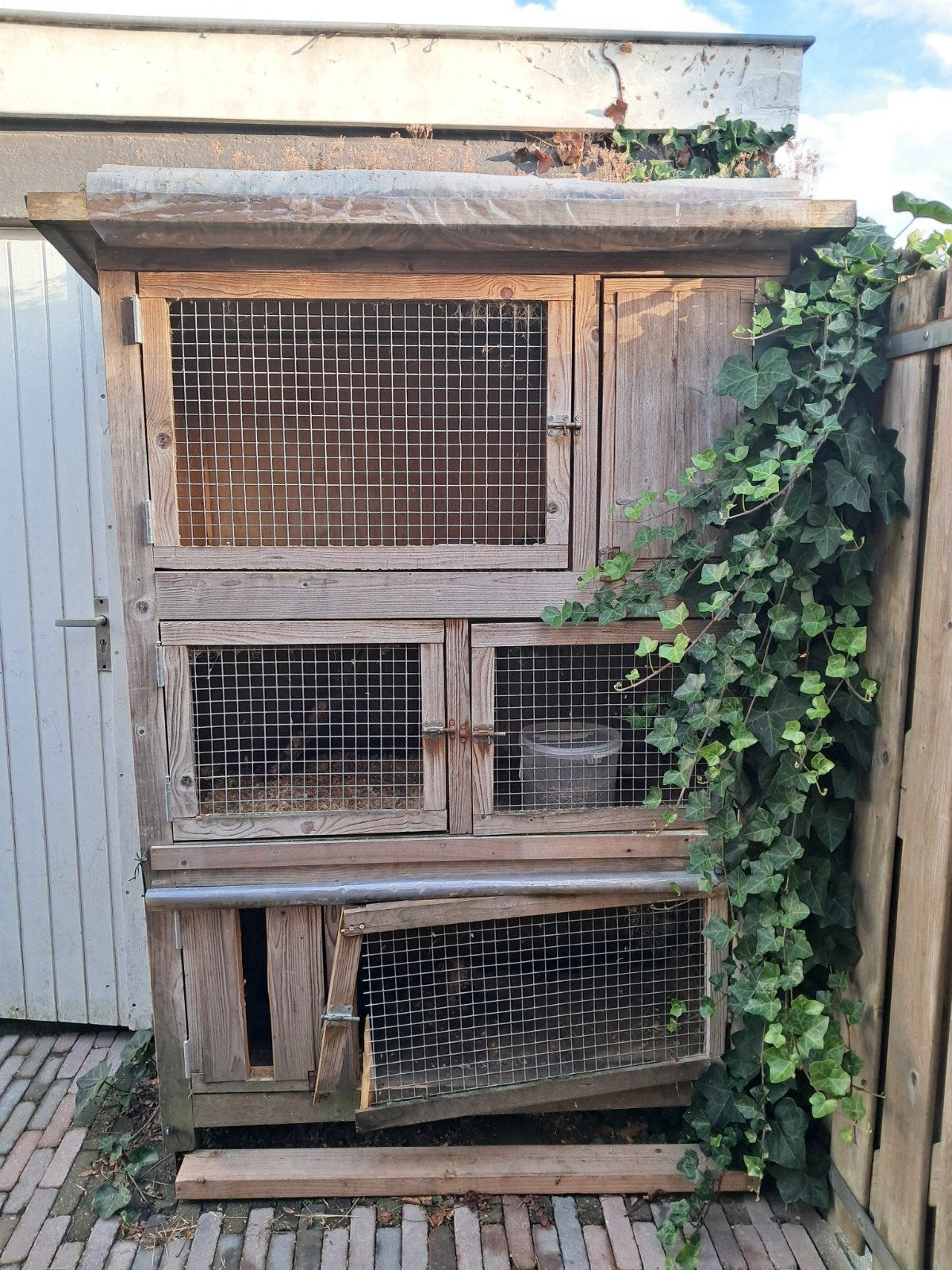 Konijnenhok voor twee konijnen met sedumdak, Ophalen, 90 cm of meer, Konijn, Hok
