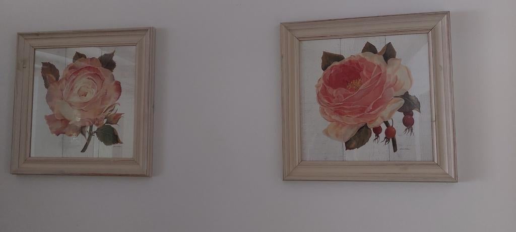 Wandpaneel  roos 2x, Huis en Inrichting, Ophalen, Minder dan 50 cm, Zo goed als nieuw, Minder dan 50 cm