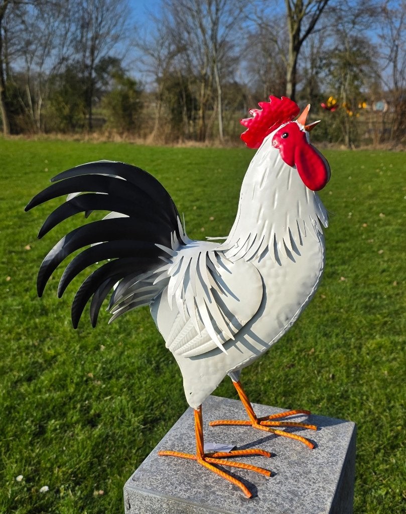 Haan /Hen / metaal / kippen / NIEUW, Dierenbeeld, Nieuw, Metaal, Info@huisentuindecoratiemarie.nl