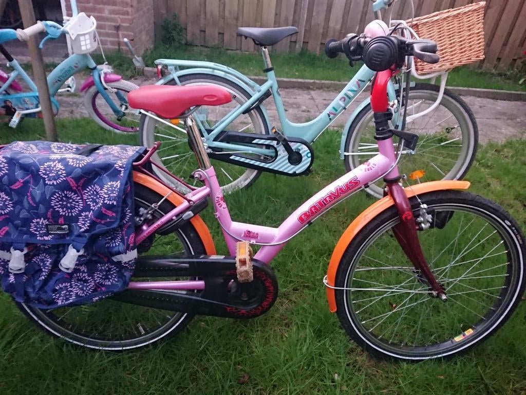 Meisjesfiets Batavus 22 inch, Ophalen