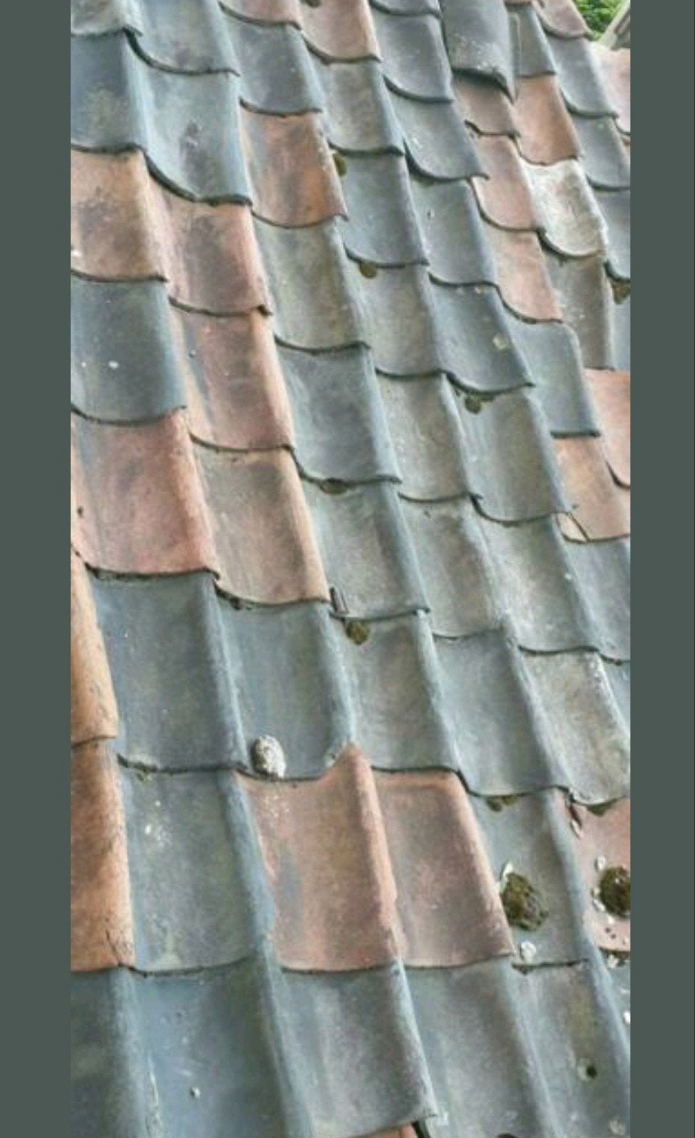 100 jaar oude holle dakpannen, Ophalen, Gebruikt, 15 m² of meer, Dakpannen