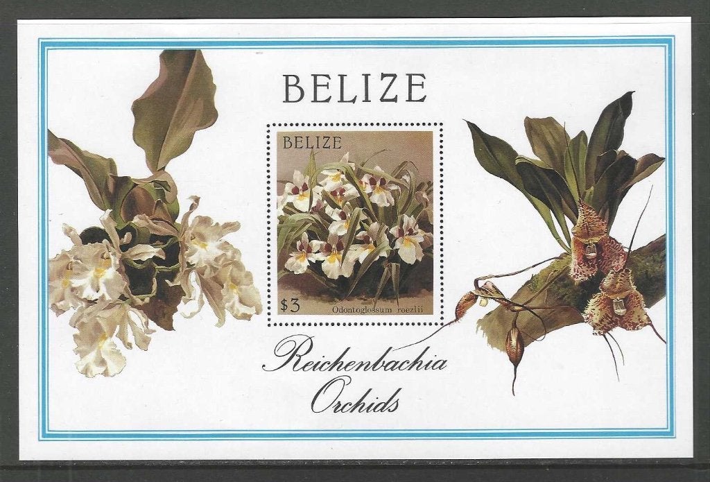 Belize blok A94 orchideeën Bloemen flora  blok 1987, Verzenden, Postfris, Dier of Natuur
