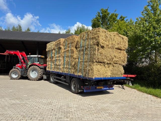 stro en hooi in kleine en grote balen, Dieren en Toebehoren, Dierenvoeding, Vee, Ophalen