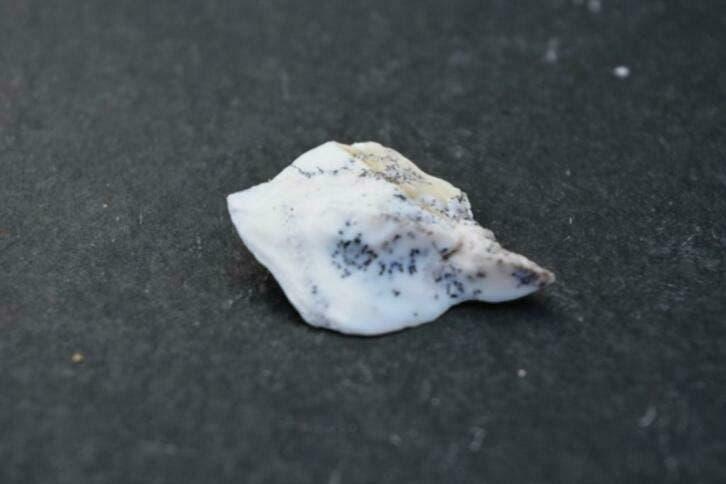 Dendriet Opaal (nr 3 ), Nieuw, Ophalen of Verzenden, Nvt, Nvt