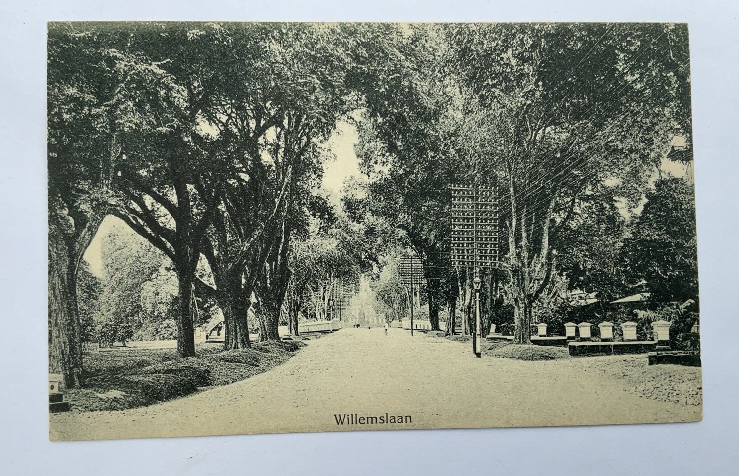Willemslaan Batavia omstreeks 1915?, Verzenden, Voor 1920, Gelopen, Buiten Europa