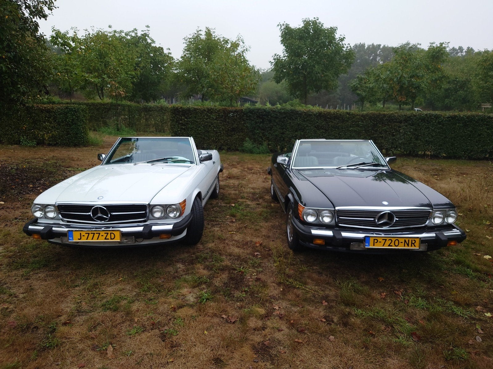 Mercedes-Benz 560SL 1986 Belastingvrij, foto 5