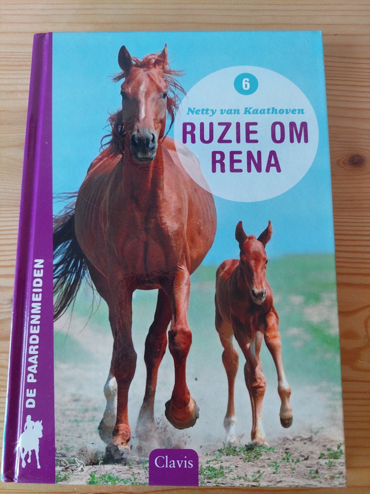 Ruzie om Rena - Netty van Kaathoven, Ophalen of Verzenden, Zo goed als nieuw, Netty van Kaathoven, Non-fictie
