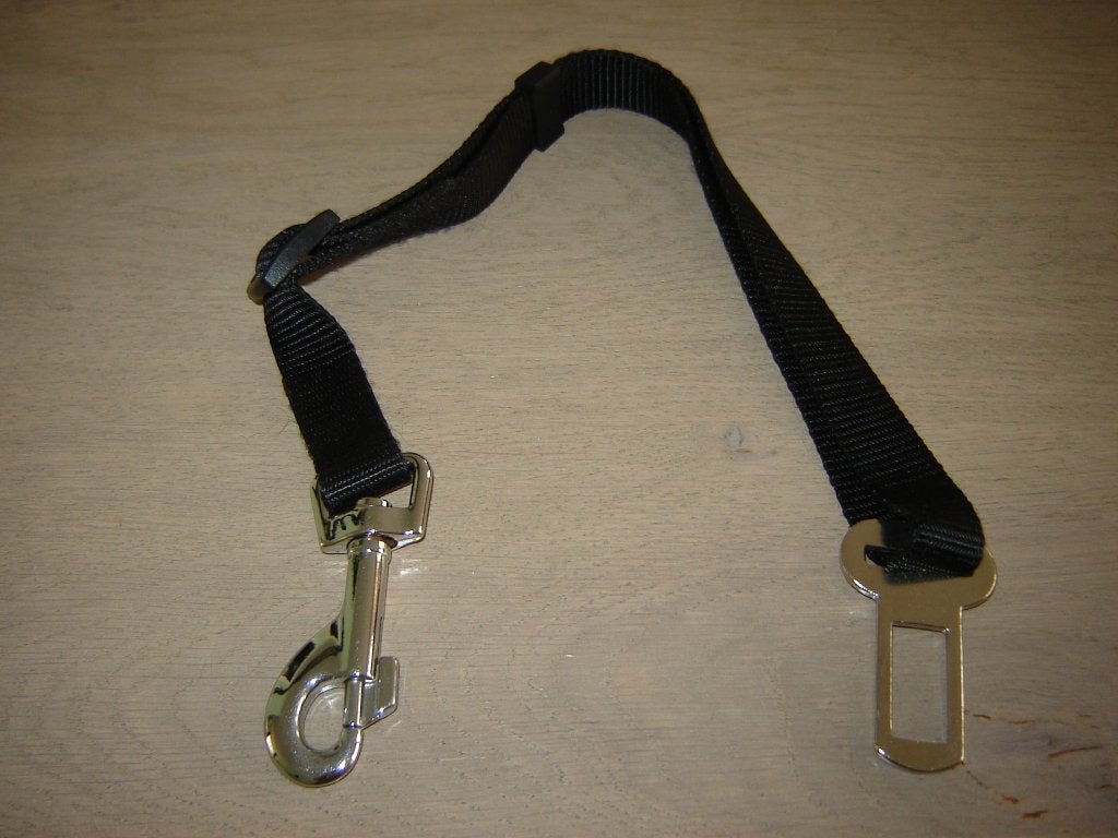 AUTOGORDEL VOOR HOND !!!!, Ophalen of Verzenden, Zo goed als nieuw