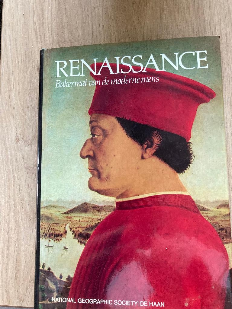Boek Renaissance, Ophalen of Verzenden, Gelezen