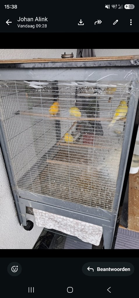 Kooie, Ophalen of Verzenden, Zo goed als nieuw, Metaal, Vogelkooi