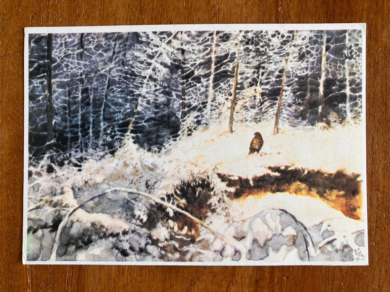 Rien Poortvliet - Buizerd in Winterlandschap, Ophalen of Verzenden, 1960 tot 1980, Gelopen, Natuur
