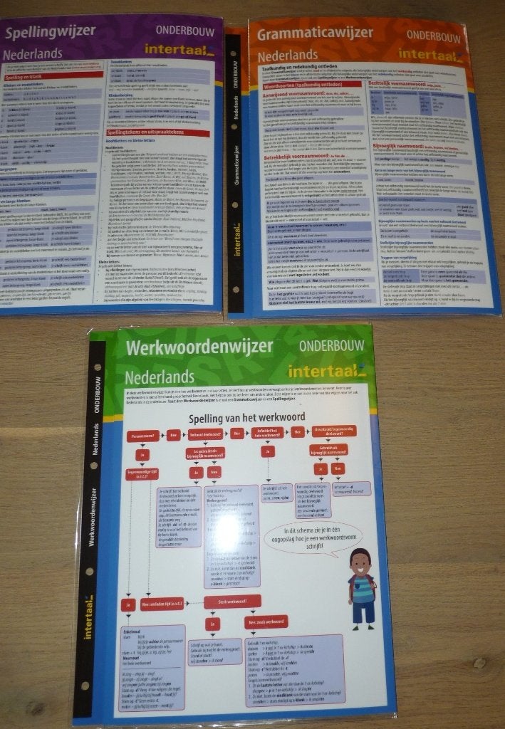 Intertaal Werkwoorden-, Spelling- en Grammaticawijzer NL, Ophalen of Verzenden, Zo goed als nieuw, Intertaal, Nederlands