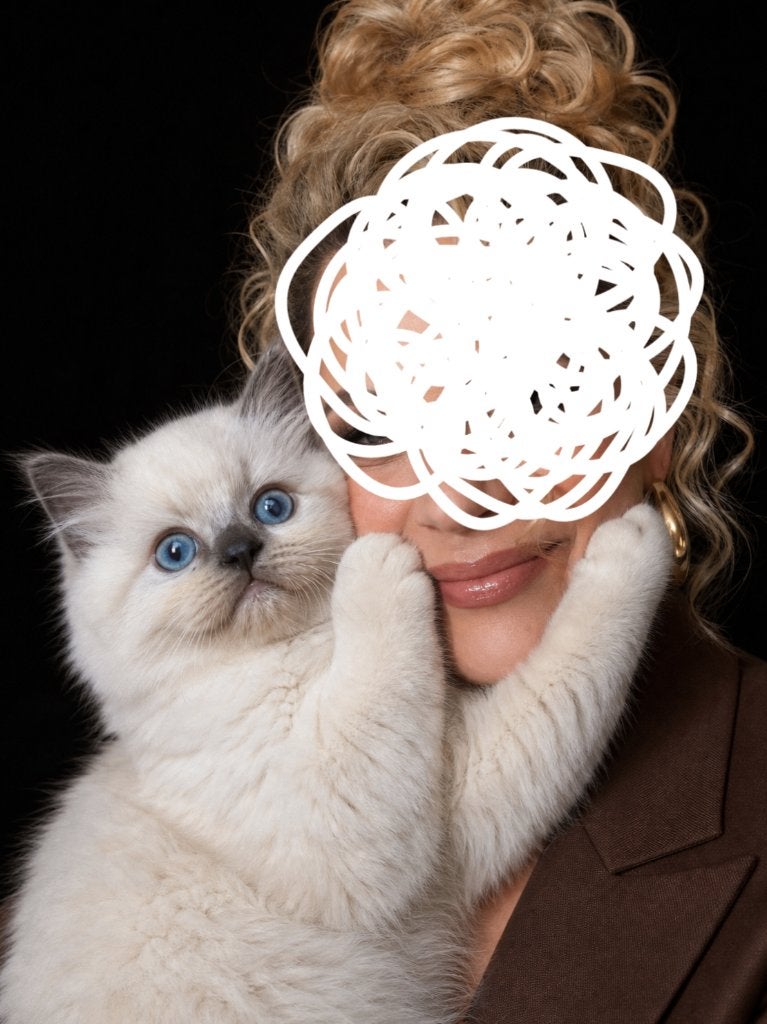 Bijzonder beauty Ragdoll kitten, Dieren en Toebehoren, Kater, Ontwormd, 0 tot 2 jaar