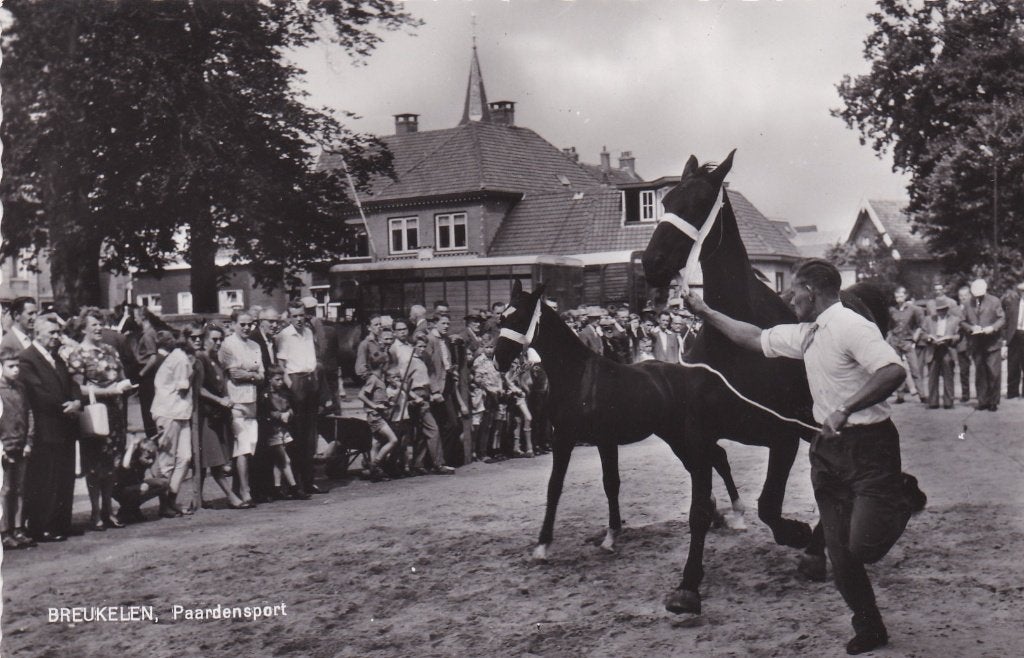 BREUKELEN - Paardensport (1) - 1963 - Paard Paarden, Ophalen of Verzenden, 1960 tot 1980, Ongelopen, Utrecht