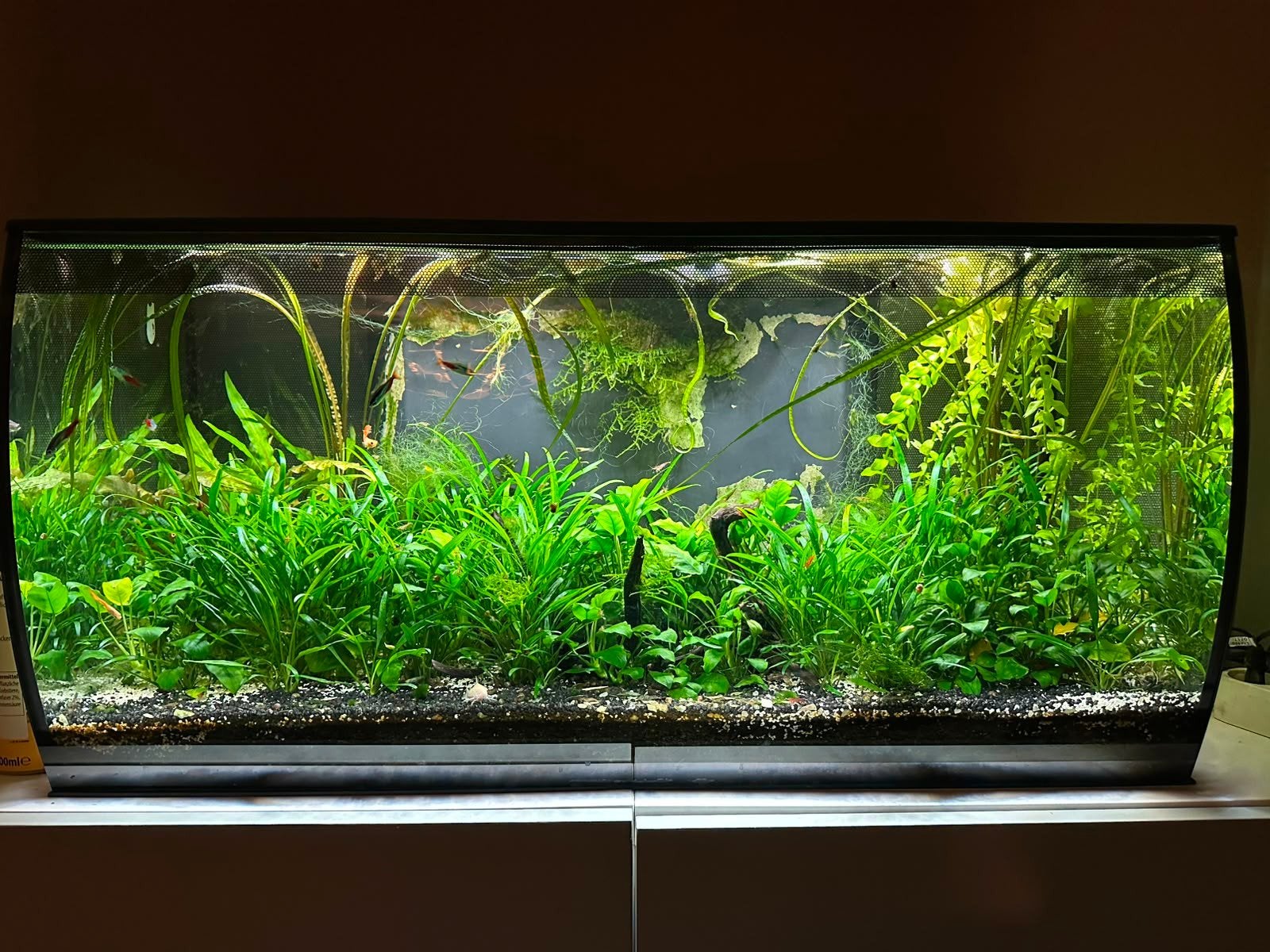 Aquarium fluval flex 123L, Dieren en Toebehoren, Vissen | Aquaria en Toebehoren, Ophalen, Fluval, Inclusief vissen, Gevuld zoetwateraquarium