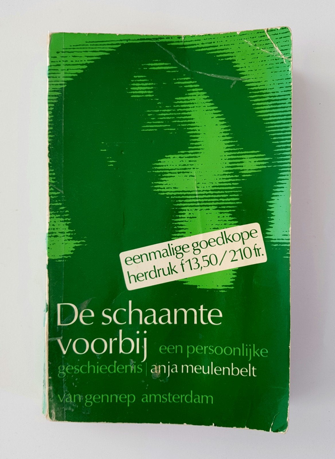 De Schaamte Voorbij - Anja Meulenbelt - boek, Boeken, Ophalen of Verzenden, Gelezen